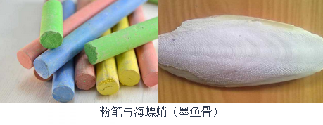 微信圖片_20201010083540.png