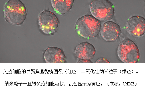 微信圖片_20210430082354.png